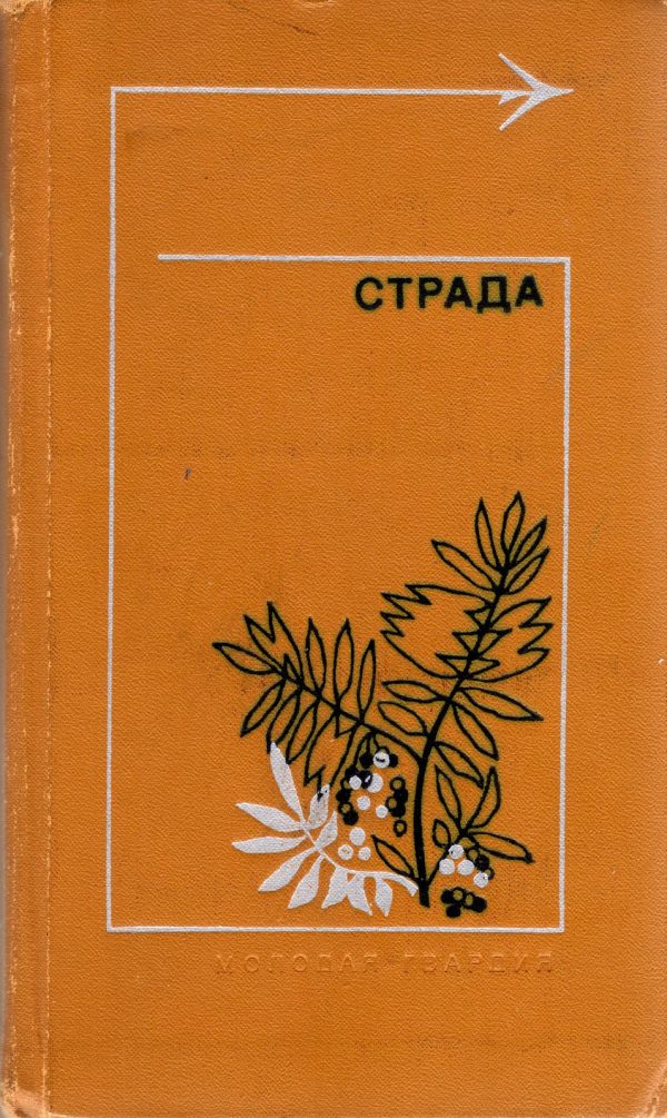 Обложка книги «Страда»