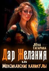 Обложка книги «Дар желания или Мексиканские каникулы (СИ)»