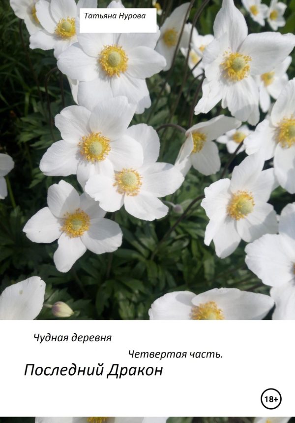 Обложка книги «Последний дракон»