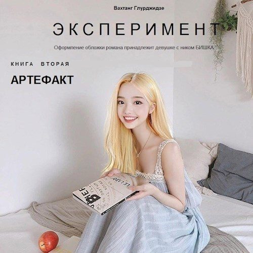 Обложка книги «Артефакт»