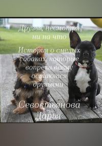 Обложка книги «Друзья, несмотря ни на что»