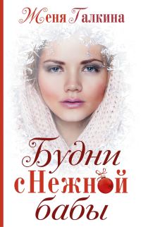 Обложка книги «Будни Снежной бабы»
