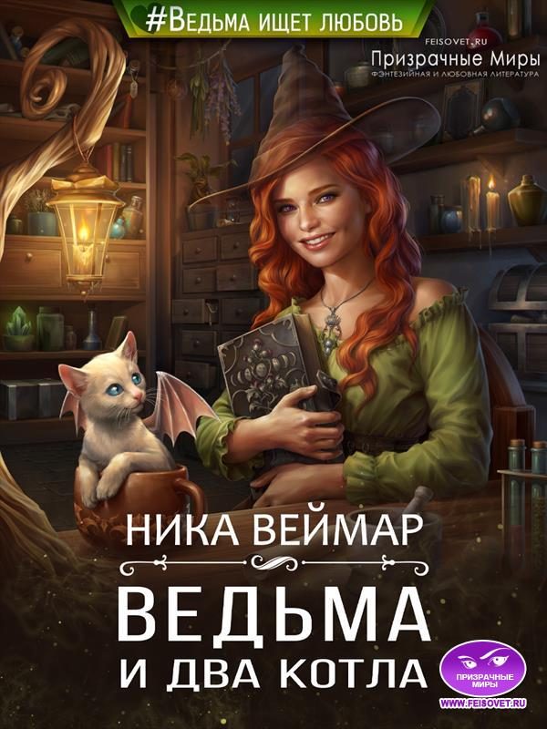 Обложка книги «Ведьма и два котла»