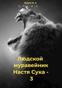 Обложка книги «Настя Сука 3»