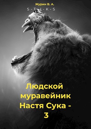 Обложка книги «Настя Сука 3»