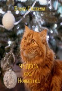 Обложка книги «Чудеса под Новый год»