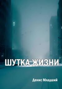 Обложка книги «Шутка жизни»