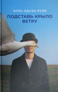 Обложка книги «Подставь крыло ветру»