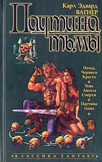 Обложка книги «Тень Ангела Смерти»