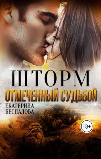 Обложка книги «Шторм. Отмеченный Судьбой (СИ)»