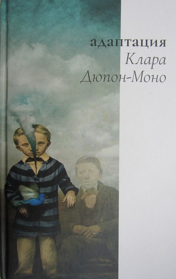 Обложка книги «Адаптация»