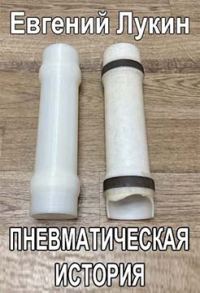 Обложка книги «Пневматическая история»