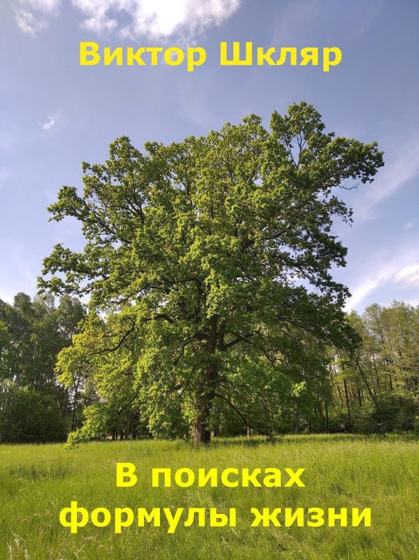 Обложка книги «В поисках формулы жизни»