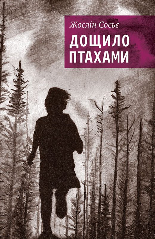 Обложка книги «Дощило птахами»