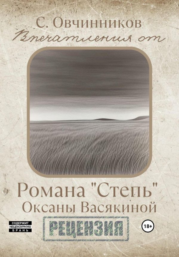 Обложка книги «Впечатления от романа «Степь» Оксаны Васякиной. Рецензия»