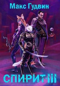 Обложка книги «СПИРИТ III»