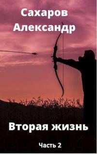 Обложка книги «Вторая жизнь. Книга вторая»