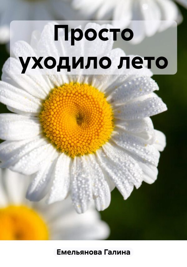Обложка книги «Просто уходило лето [СИ]»