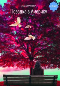 Обложка книги «Поездка в Америку»