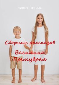Обложка книги «Василина Премудрая»