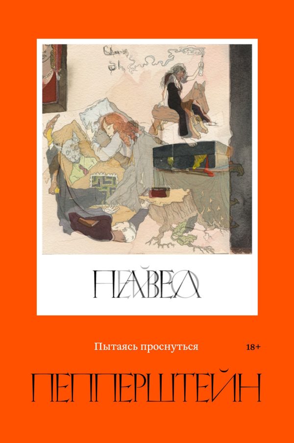 Обложка книги «Пытаясь проснуться»