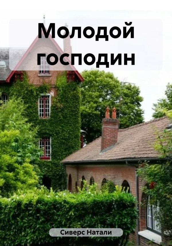 Обложка книги «Молодой господин»