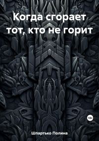 Обложка книги «Когда сгорает тот, кто не горит»
