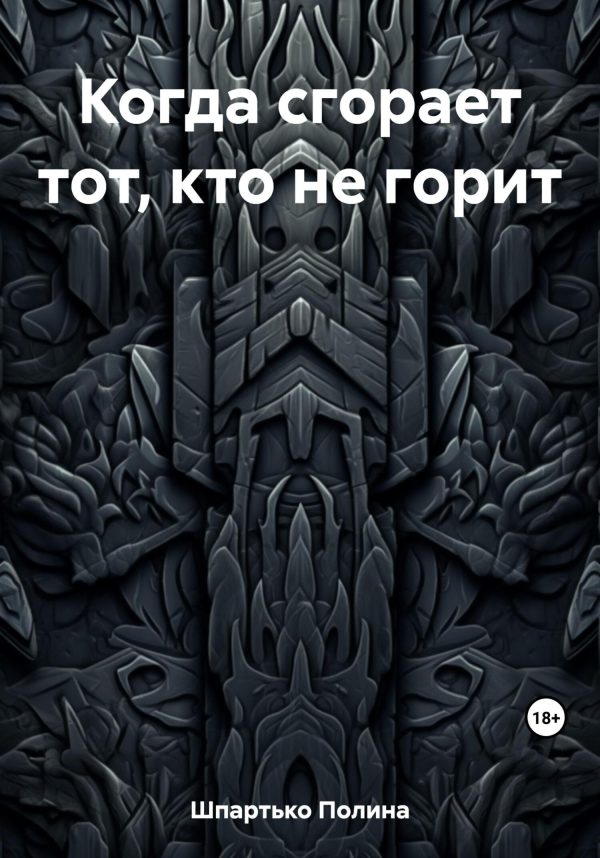 Обложка книги «Когда сгорает тот, кто не горит»