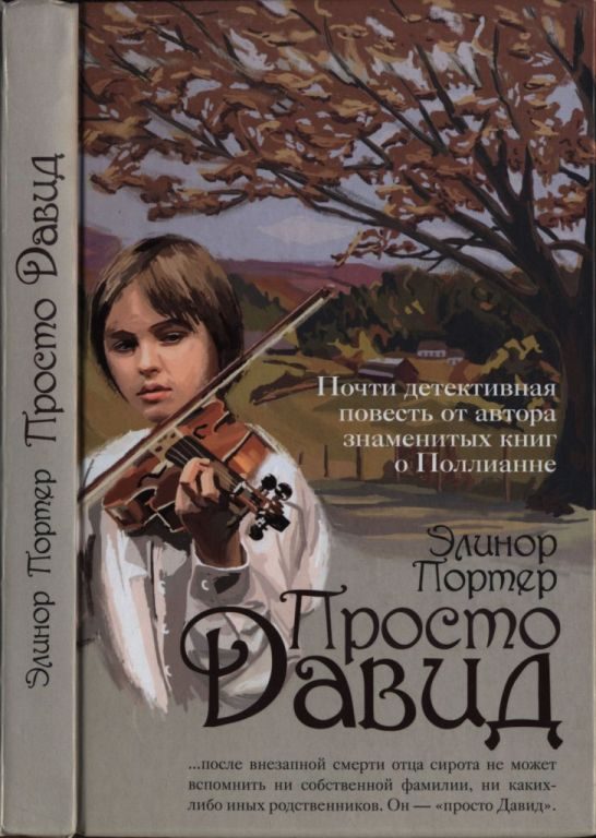 Обложка книги «Просто Давид»