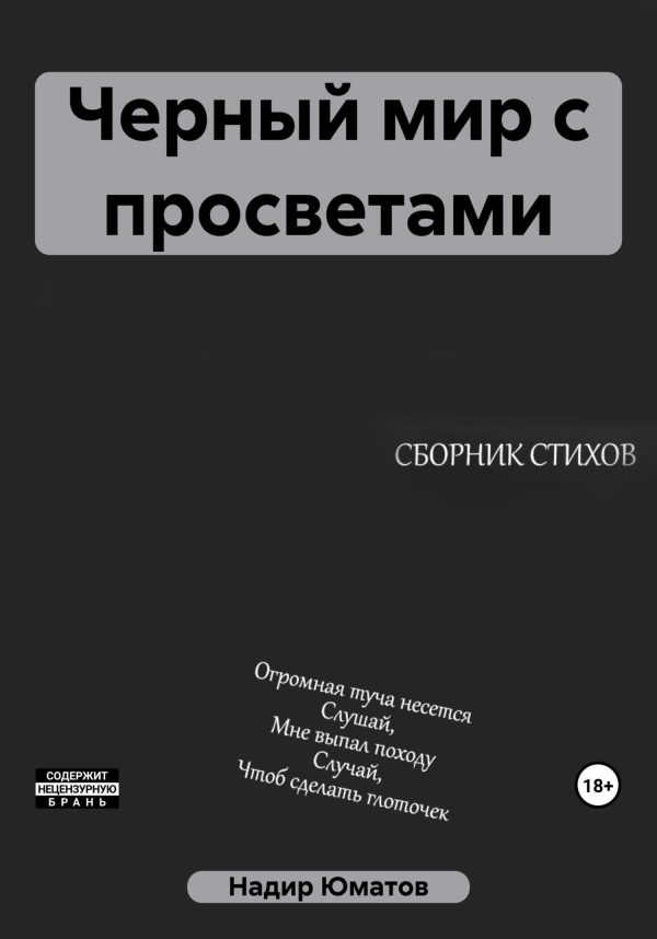 Обложка книги «Черный мир с просветами»