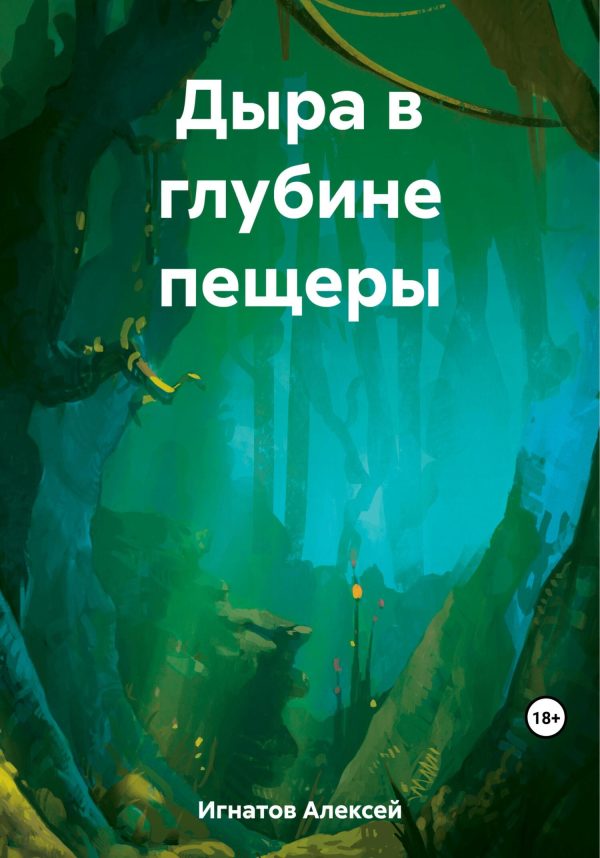 Обложка книги «Дыра в глубине пещеры»