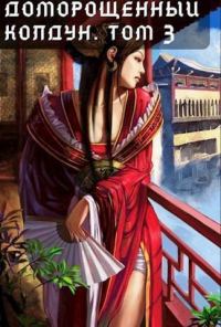 Обложка книги «Доморощенный Колдун. Том 3»