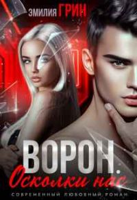 Обложка книги «Ворон. Осколки нас»