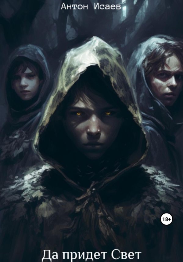 Обложка книги «Да придет свет»