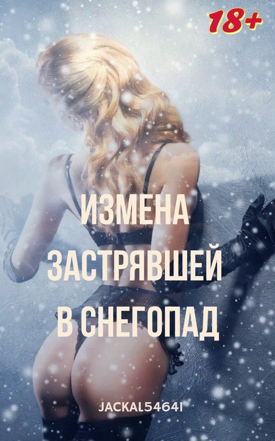 Обложка книги «Измена застрявшей в снегопад»