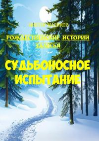 Обложка книги «Судьбоносное испытание»