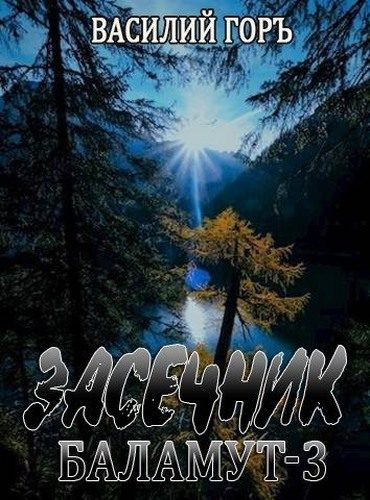 Обложка книги «Баламут 3»