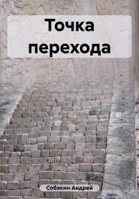 Обложка книги «Точка перехода»