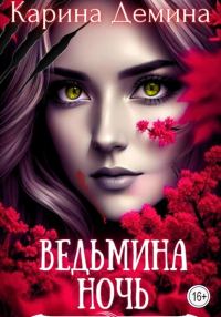 Обложка книги «Ведьмина ночь»