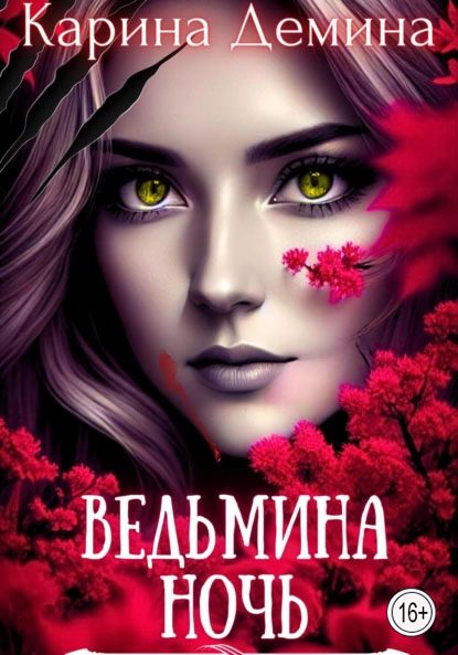 Обложка книги «Ведьмина ночь»