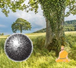 Обложка книги «Одиночка»