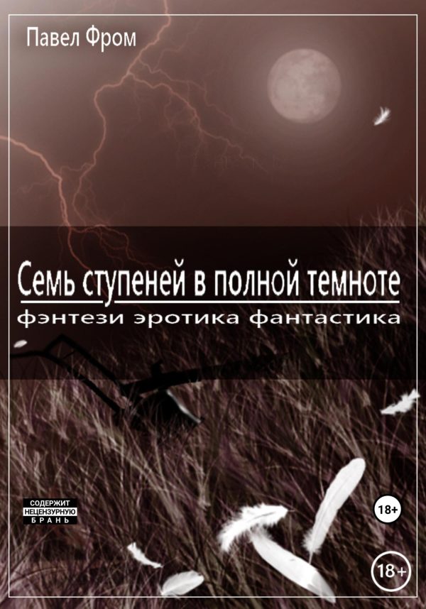 Обложка книги «Семь ступеней в полной темноте»