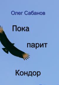 Обложка книги «Пока парит кондор»