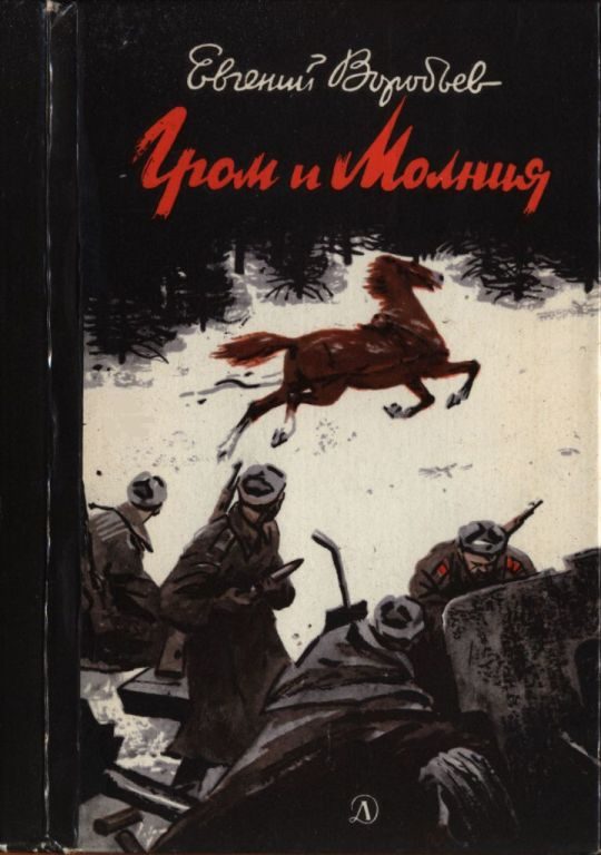 Обложка книги «Гром и Молния»