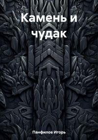 Обложка книги «Камень и чудак»