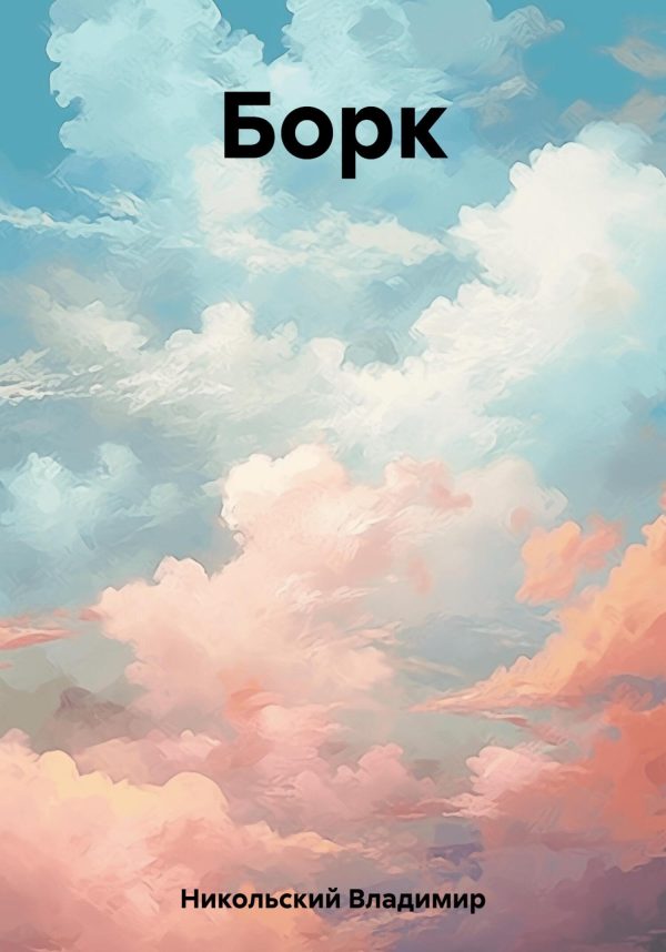 Обложка книги «Борк»