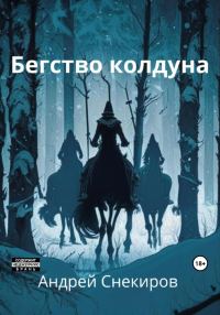 Обложка книги «Бегство колдуна»