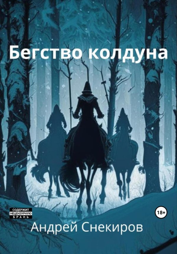 Обложка книги «Бегство колдуна»