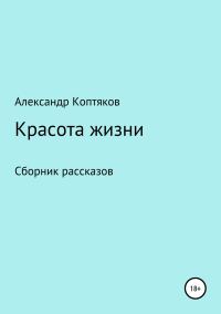 Обложка книги «Красота жизни. Сборник рассказов»
