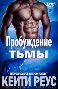 Обложка книги «Пробуждение тьмы»